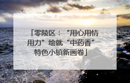 零陵区：“用心用情用力”绘就“中药香”特色小镇新画卷