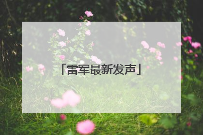 雷军最新发声