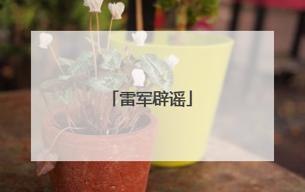 雷军辟谣