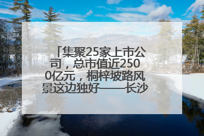 集聚25家上市公司，总市值近2500亿元，桐梓坡路风景这边独好——长沙有条“上市路”