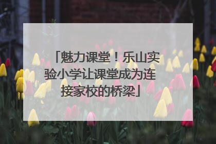 魅力课堂！乐山实验小学让课堂成为连接家校的桥梁