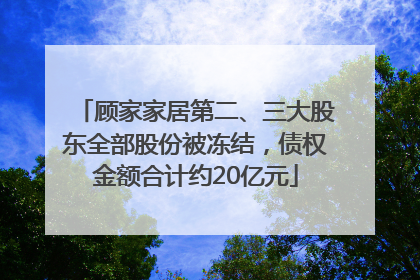 顾家家居第二、三大股东全部股份被冻结，债权金额合计约20亿元