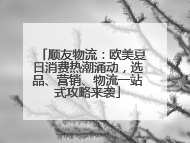 顺友物流：欧美夏日消费热潮涌动，选品、营销、物流一站式攻略来袭