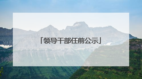 领导干部任前公示
