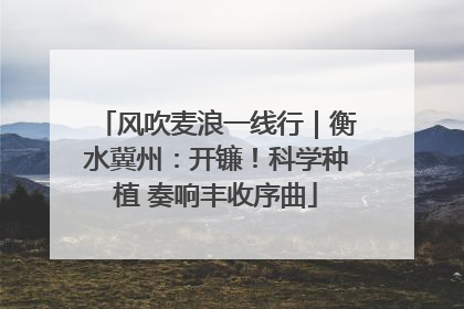 风吹麦浪一线行｜衡水冀州：开镰！科学种植 奏响丰收序曲