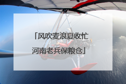 风吹麦浪夏收忙 河南老兵保粮仓