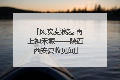 风吹麦浪起 再上神禾塬——陕西西安夏收见闻