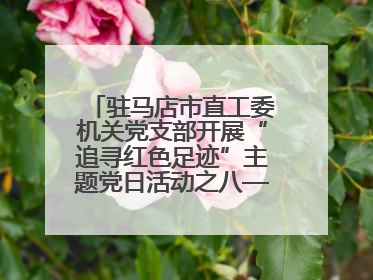 驻马店市直工委机关党支部开展“追寻红色足迹”主题党日活动之八——鏖战独树镇