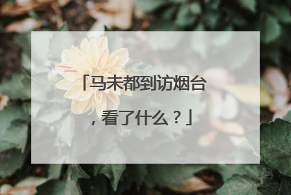 马未都到访烟台，看了什么？