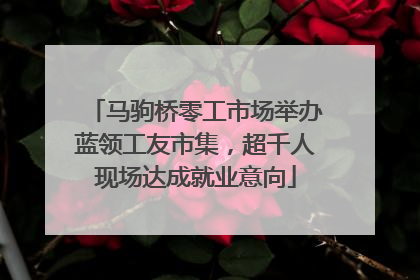 马驹桥零工市场举办蓝领工友市集，超千人现场达成就业意向