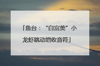 鱼台：“白富美”小龙虾跳动增收音符