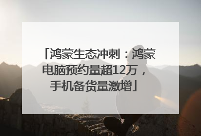 鸿蒙生态冲刺：鸿蒙电脑预约量超12万，手机备货量激增