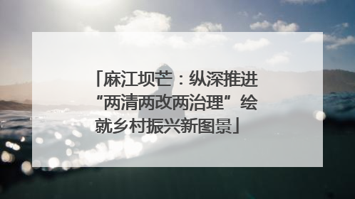麻江坝芒：纵深推进“两清两改两治理”绘就乡村振兴新图景