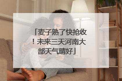 麦子熟了快抢收！未来三天河南大部天气晴好