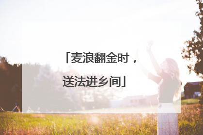 麦浪翻金时，送法进乡间