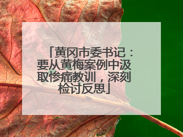 黄冈市委书记：要从黄梅案例中汲取惨痛教训，深刻检讨反思