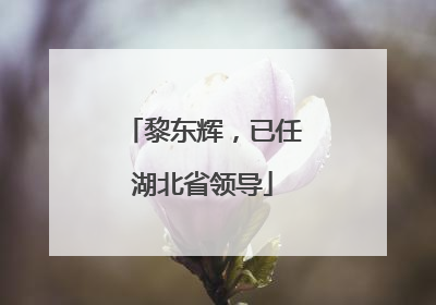 黎东辉，已任湖北省领导
