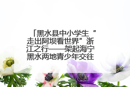 黑水县中小学生“走出阿坝看世界”浙江之行——架起海宁黑水两地青少年交往交流交融新桥梁