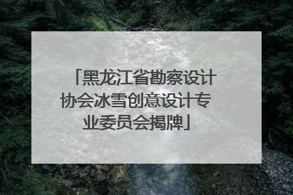黑龙江省勘察设计协会冰雪创意设计专业委员会揭牌