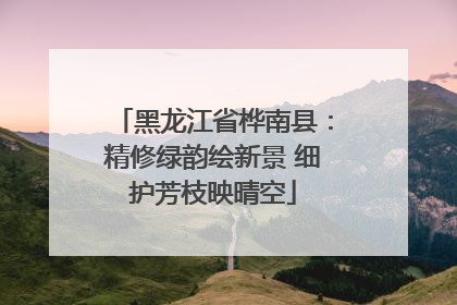 黑龙江省桦南县：精修绿韵绘新景 细护芳枝映晴空