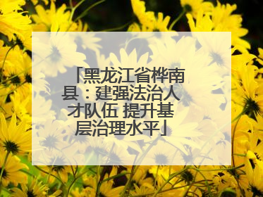 黑龙江省桦南县：建强法治人才队伍 提升基层治理水平