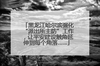 黑龙江哈尔滨强化“派出所主防”工作，让平安建设触角延伸到每个角落……