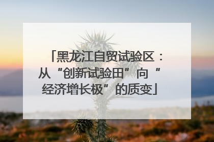 黑龙江自贸试验区：从“创新试验田”向“经济增长极”的质变