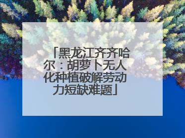 黑龙江齐齐哈尔：胡萝卜无人化种植破解劳动力短缺难题