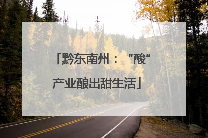 黔东南州：“酸”产业酿出甜生活