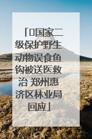 ﻿国家二级保护野生动物误食鱼钩被送医救治 郑州惠济区林业局回应