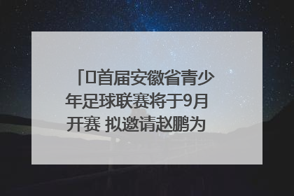 ﻿首届安徽省青少年足球联赛将于9月开赛 拟邀请赵鹏为先导赛开球