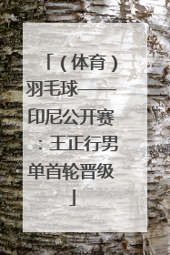 （体育）羽毛球——印尼公开赛：王正行男单首轮晋级