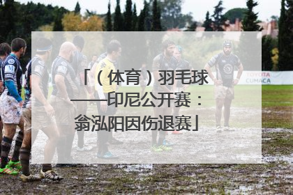 （体育）羽毛球——印尼公开赛：翁泓阳因伤退赛