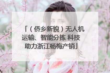 （侨乡新貌）无人机运输、智能分拣 科技助力浙江杨梅产销