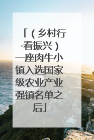 （乡村行·看振兴）一座肉牛小镇入选国家级农业产业强镇名单之后