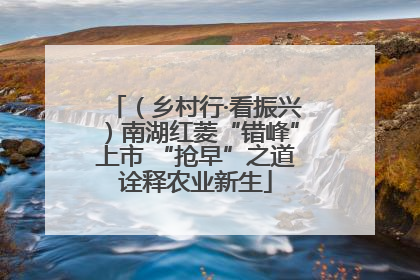 （乡村行·看振兴）南湖红菱“错峰”上市 “抢早”之道诠释农业新生