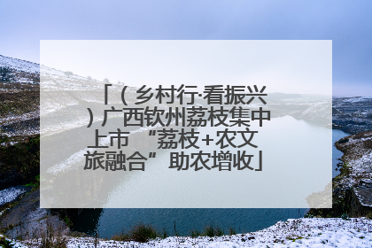 （乡村行·看振兴）广西钦州荔枝集中上市 “荔枝+农文旅融合”助农增收