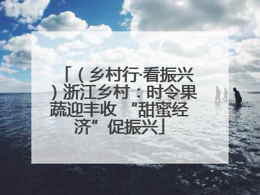 （乡村行·看振兴）浙江乡村：时令果蔬迎丰收 “甜蜜经济”促振兴