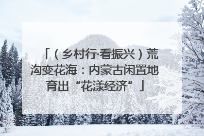 （乡村行·看振兴）荒沟变花海：内蒙古闲置地育出“花漾经济”