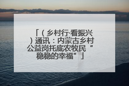 （乡村行·看振兴）通讯：内蒙古乡村公益岗托底农牧民“稳稳的幸福”