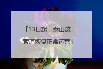 13日起，泰山这一索道恢复正常运营