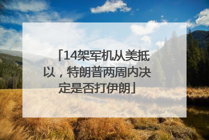 14架军机从美抵以，特朗普两周内决定是否打伊朗
