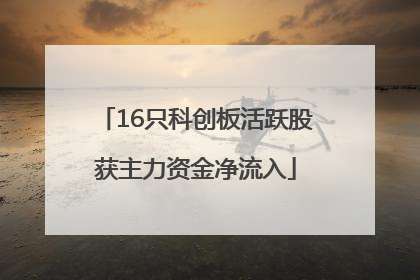 16只科创板活跃股获主力资金净流入