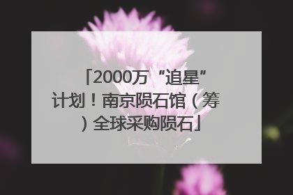 2000万“追星”计划！南京陨石馆（筹）全球采购陨石