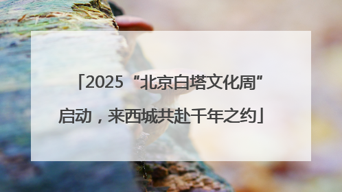 2025“北京白塔文化周”启动，来西城共赴千年之约