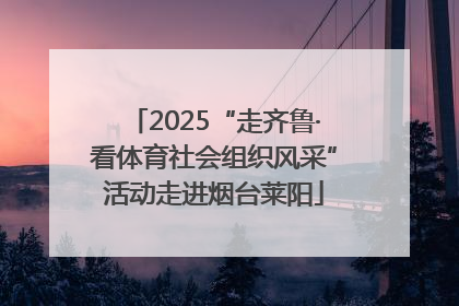 2025“走齐鲁·看体育社会组织风采”活动走进烟台莱阳