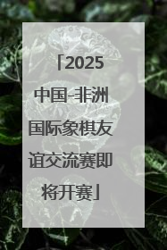 2025中国-非洲国际象棋友谊交流赛即将开赛