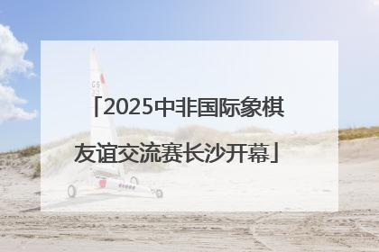 2025中非国际象棋友谊交流赛长沙开幕