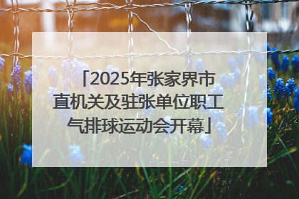 2025年张家界市直机关及驻张单位职工气排球运动会开幕