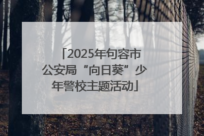 2025年句容市公安局“向日葵”少年警校主题活动